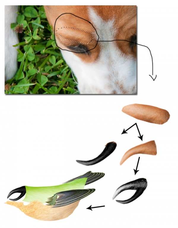 Creation of Breeze of Dawn: Step 5